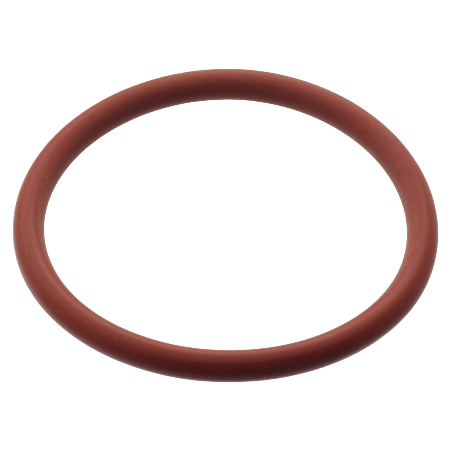 Reber guarnizione anello asse perno passapomodoro n.5 9004 9501 9601 9602 9603